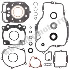 Complete Gasket Kit with Oil Seals WINDEROSA CGKOS 811453