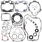 Complete Gasket Kit with Oil Seals WINDEROSA CGKOS 811455