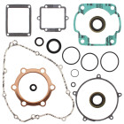 Complete Gasket Kit with Oil Seals WINDEROSA CGKOS 811471