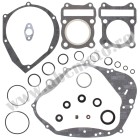 Complete Gasket Kit with Oil Seals WINDEROSA CGKOS 811531
