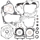 Complete Gasket Kit with Oil Seals WINDEROSA CGKOS 811567
