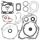 Complete Gasket Kit with Oil Seals WINDEROSA CGKOS 811636