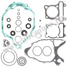 Complete Gasket Kit with Oil Seals WINDEROSA CGKOS 811642
