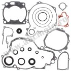 Complete Gasket Kit with Oil Seals WINDEROSA CGKOS 811666
