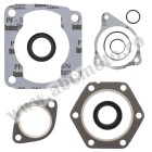 Complete Gasket Kit with Oil Seals WINDEROSA CGKOS 811806
