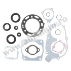 Complete Gasket Kit with Oil Seals WINDEROSA CGKOS 811808