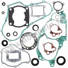 Complete Gasket Kit with Oil Seals WINDEROSA CGKOS 811814