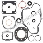 Complete Gasket Kit with Oil Seals WINDEROSA CGKOS 811818
