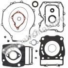 Complete Gasket Kit with Oil Seals WINDEROSA CGKOS 811821