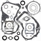 Complete Gasket Kit with Oil Seals WINDEROSA CGKOS 811826