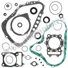 Complete Gasket Kit with Oil Seals WINDEROSA CGKOS 811828