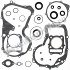 Complete Gasket Kit with Oil Seals WINDEROSA CGKOS 811832
