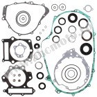 Complete Gasket Kit with Oil Seals WINDEROSA CGKOS 811833