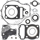 Complete Gasket Kit with Oil Seals WINDEROSA CGKOS 811836