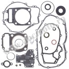 Complete Gasket Kit with Oil Seals WINDEROSA CGKOS 811838