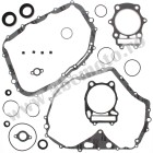 Complete Gasket Kit with Oil Seals WINDEROSA CGKOS 811846