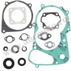 Complete Gasket Kit with Oil Seals WINDEROSA CGKOS 811850
