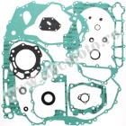 Complete Gasket Kit with Oil Seals WINDEROSA CGKOS 811854