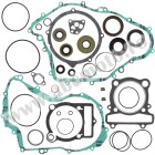 Complete Gasket Kit with Oil Seals WINDEROSA CGKOS 811861