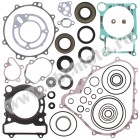 Complete Gasket Kit with Oil Seals WINDEROSA CGKOS 811875