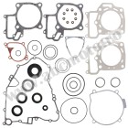 Complete Gasket Kit with Oil Seals WINDEROSA CGKOS 811879