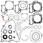 Complete Gasket Kit with Oil Seals WINDEROSA CGKOS 811881