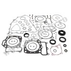 Complete Gasket Kit with Oil Seals WINDEROSA CGKOS 811883
