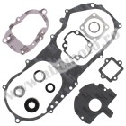 Complete Gasket Kit with Oil Seals WINDEROSA CGKOS 811887