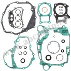 Complete Gasket Kit with Oil Seals WINDEROSA CGKOS 811888