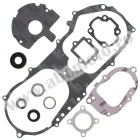 Complete Gasket Kit with Oil Seals WINDEROSA CGKOS 811892