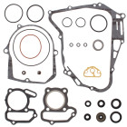 Complete Gasket Kit with Oil Seals WINDEROSA CGKOS 811893