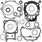 Complete Gasket Kit with Oil Seals WINDEROSA CGKOS 811902
