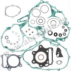 Complete Gasket Kit with Oil Seals WINDEROSA CGKOS 811912