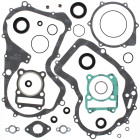 Complete Gasket Kit with Oil Seals WINDEROSA CGKOS 811914