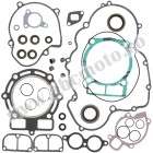 Complete Gasket Kit with Oil Seals WINDEROSA CGKOS 811921