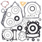Complete Gasket Kit with Oil Seals WINDEROSA CGKOS 811941
