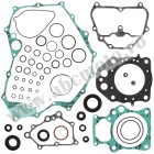Complete Gasket Kit with Oil Seals WINDEROSA CGKOS 811947