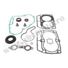 Complete gasket kit with oil seals WINDEROSA CGKOS 811967