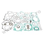 Complete Gasket Kit with Oil Seals WINDEROSA CGKOS 811976