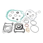 Complete Gasket Kit with Oil Seals WINDEROSA CGKOS 811977