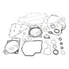 Complete Gasket Kit with Oil Seals WINDEROSA CGKOS 811989