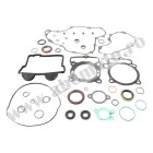 Complete gasket kit with oil seals WINDEROSA CGKOS 811999