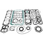 Complete gasket kit with oil seals WINDEROSA CGKOS 611419