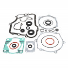 Complete Gasket Kit with Oil Seals WINDEROSA CGKOS 8110026