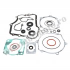 Complete Gasket Kit with Oil Seals WINDEROSA CGKOS 8110026