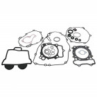 Complete Gasket Kit with Oil Seals WINDEROSA CGKOS 8110029