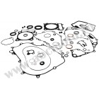 Complete Gasket Kit with Oil Seals WINDEROSA CGKOS 8110030