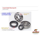 Kit garnituri si simeringuri arbore cotit All Balls Racing CB24-1093